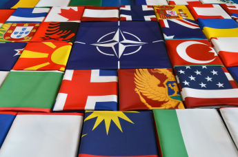 Флаги стран и НАТО