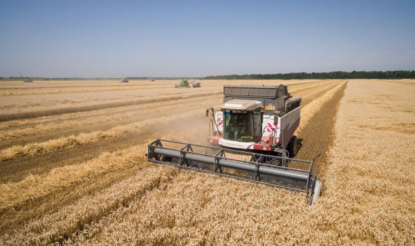 Уборка пшеницы на полях АО "Агрокомплекс" в Краснодарском крае.