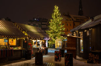 Рождественская ель на Домской площади в Риге, Латвия