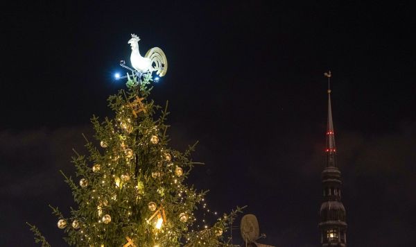 Рождественская елка на Домской площади в Риге