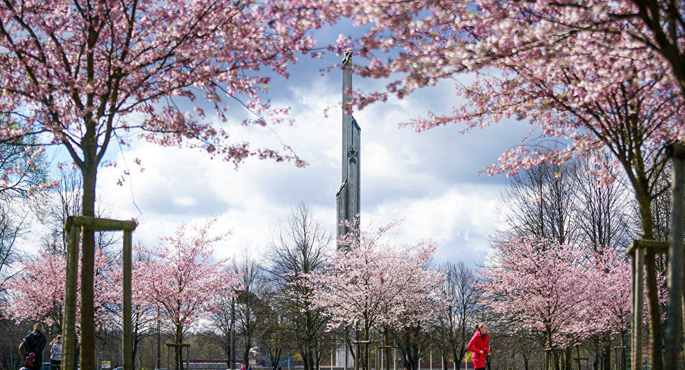 Памятник Освободителям и цветущая сакура в Парке Победы в Риге
