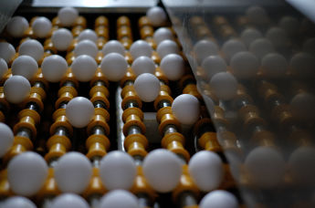 Линия сортировки яиц