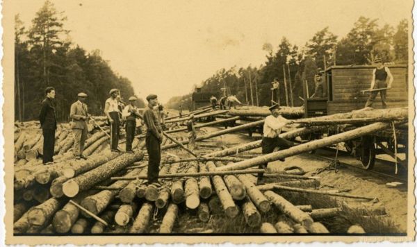 Погрузка лесозаготовок в Латвии, 1927 год
