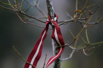 Ленточка в цветах латвийского флага