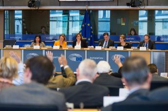 Заседание Комитета Европарламента. Голосование