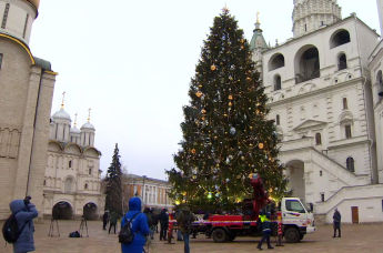 Главная ель России: на Соборной площади Московского Кремля установили символ Нового года