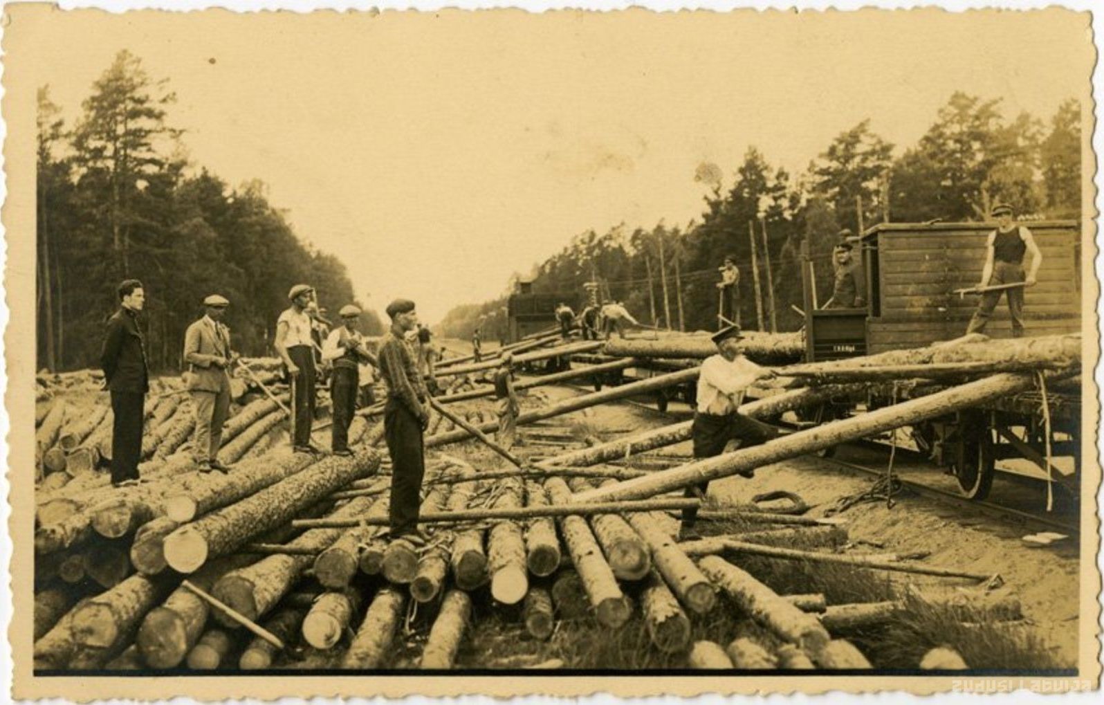 Погрузка лесозаготовок в Латвии, 1927 год