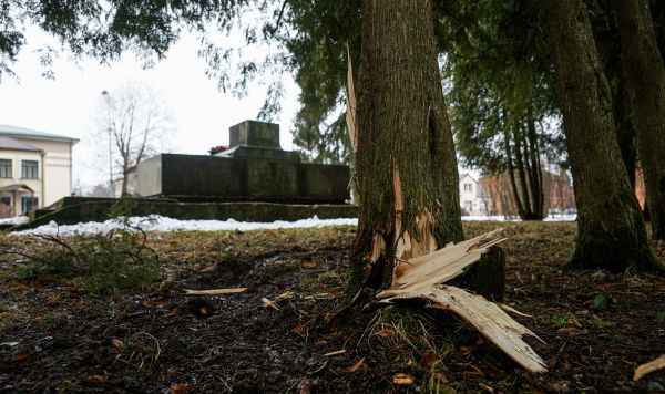 Сломанное дерево у разрушенного памятника-пушки в парке по улице Ригас, установленного на братской могиле в Екабпилсе, 24 февраля 2021