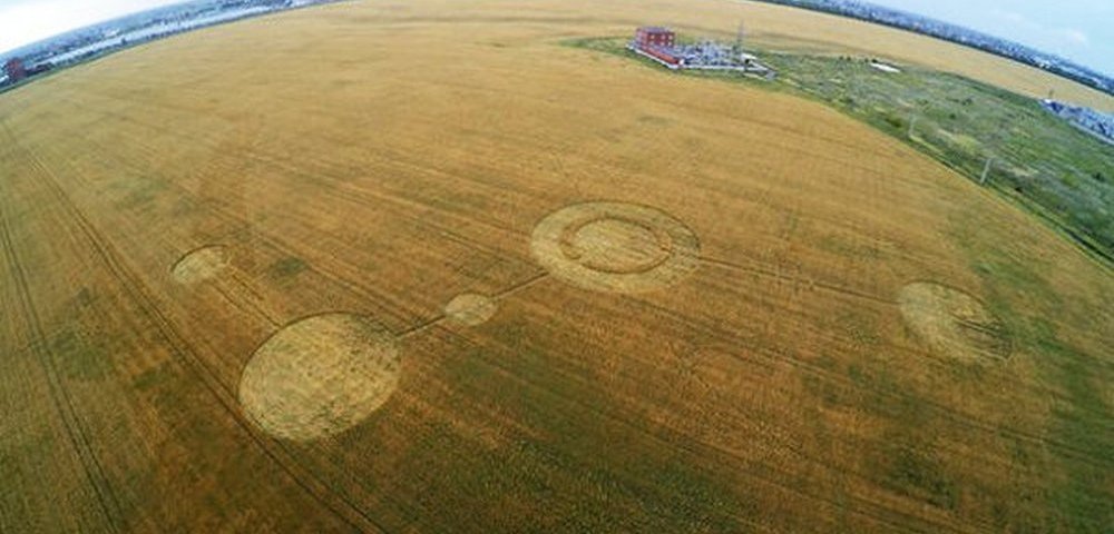 Загадочные круги на гречишном поле.