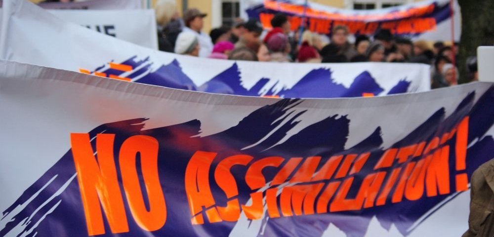 "Нет ассимиляции!" Плакат во время шествия за русский язык. 