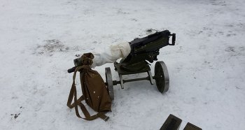 В Таллине прошли военно-исторические реконструкции сражений, посвященных 100-летнему юбилею независимости Эстонии.