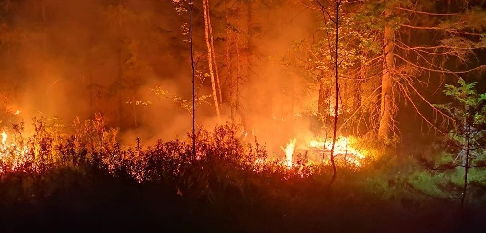 Пожар в Талсинском крае
