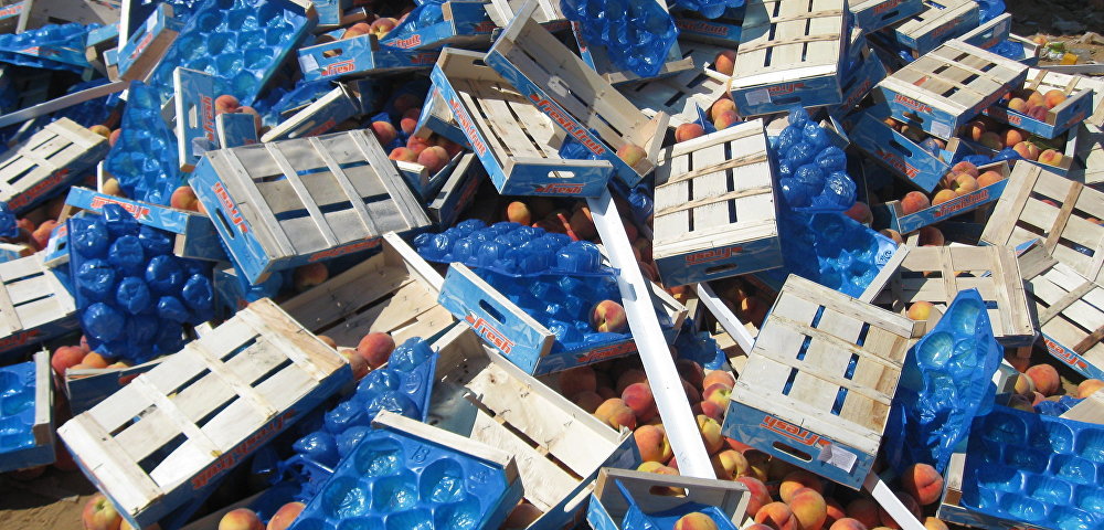 Партия санкционных европейских продуктов (персики) во время мероприятий Россельхознадзора по уничтожению