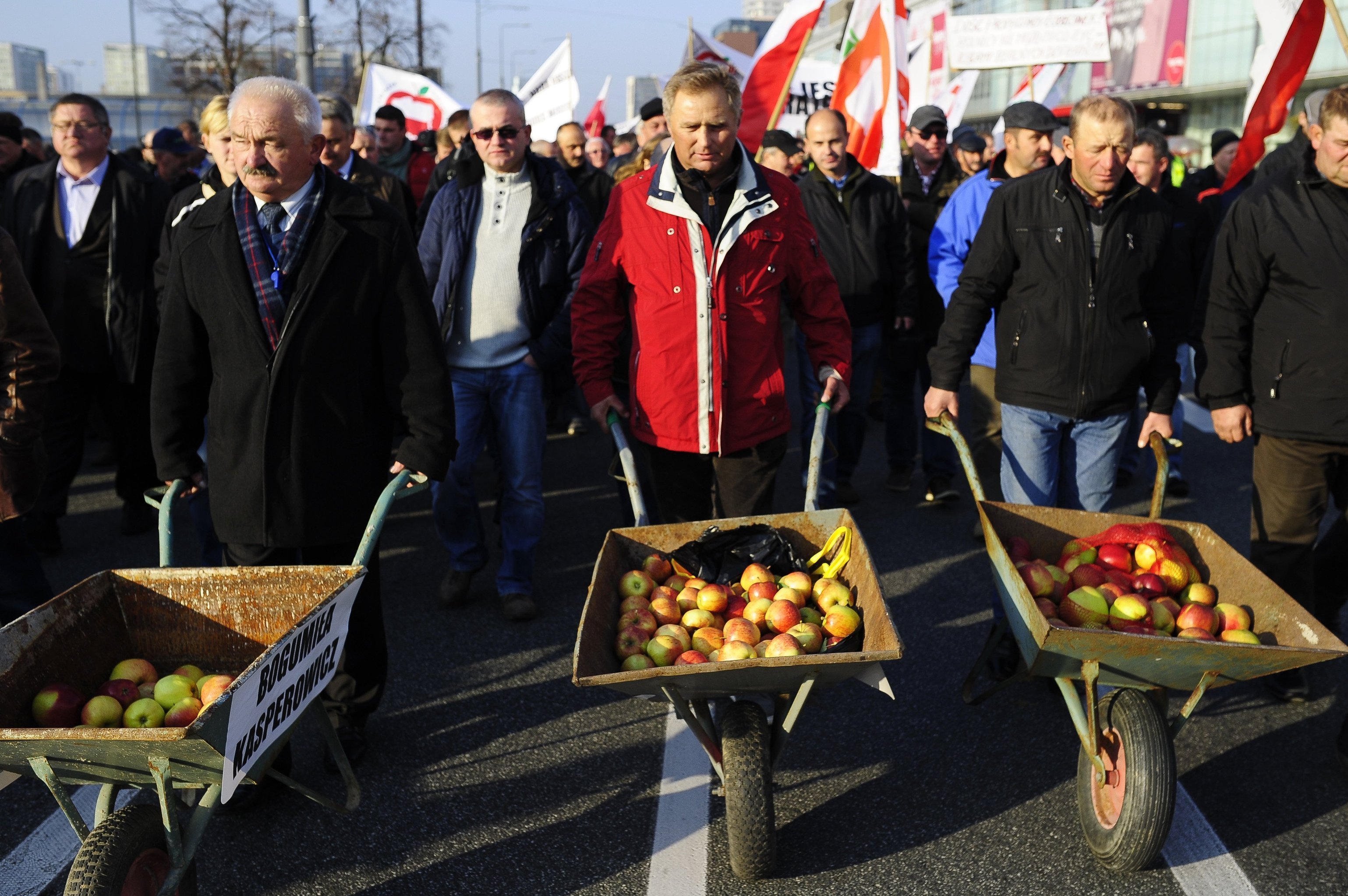 Фермеры и садоводы Польши на акции протеста против запрета России на ввоз польских овощей и фруктов  в Варшаве,архивное фото