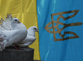 Белые голуби на фоне национального флага Украины