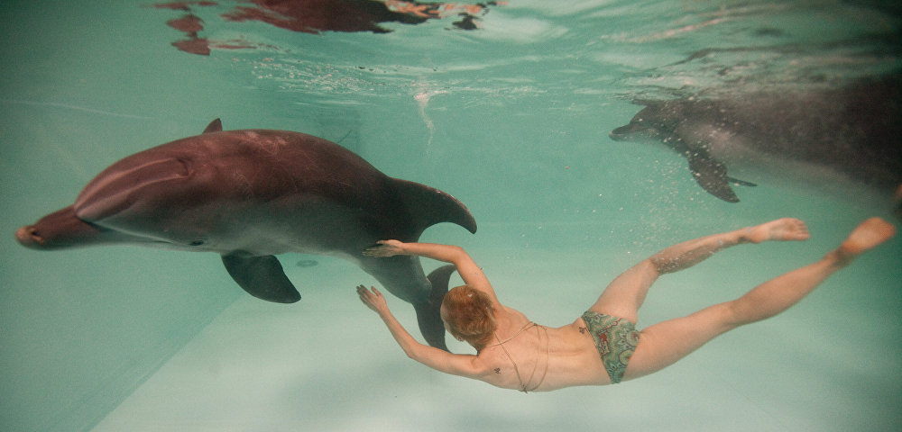 Девушка плавает с дельфином-афалина 